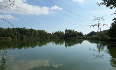 Článok